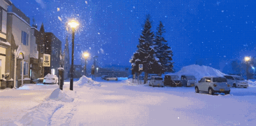 1000022411.gif