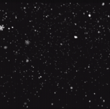 1000022408.gif