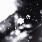 1000022427.gif