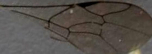 212 image crop 50 50 800 300.jpg