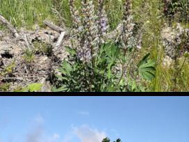 1075 image crop 500 500 1000 750.jpg