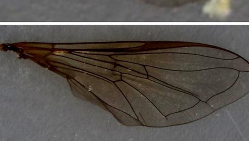 212 image crop 50 300 800 700.jpg