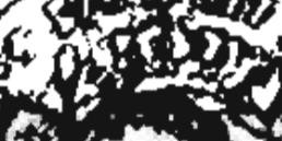 626 image crop 100 100 400 400.jpg