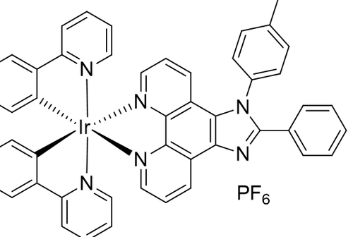 2024 image crop 350 100 650 700.png