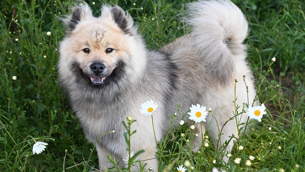 Mengapa Kita Butuh Digital Playmate di Era 2026?