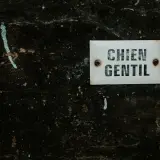 Cincizeci de ani fără om pe Lună: de ce nu am mai revenit