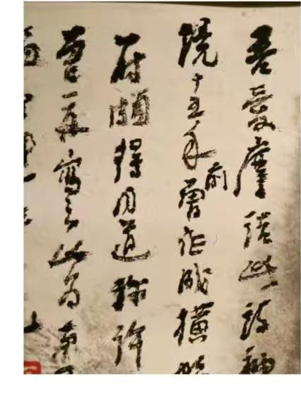 2396 image crop 0 666 333 1000.jpg