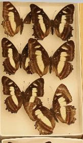 352 image crop 800 0 1000 500.jpg