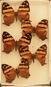 352 image crop 400 0 600 500.jpg