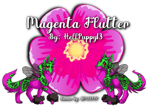 magenta flutter