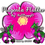 magenta flutter