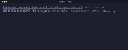 gen 0000 cli 20260406 221910.png