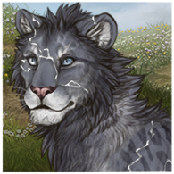 IMG 4494.png