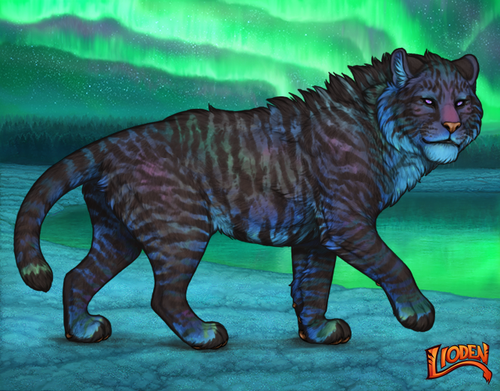IMG 1620.png