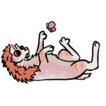 1000019148.png