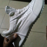 temp.png