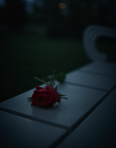 dfef835e5949.png