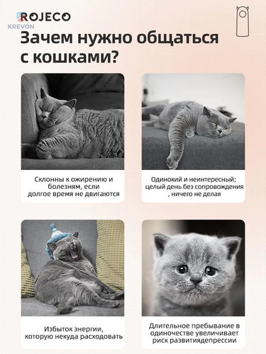 c80c8579c7c1.jpg
