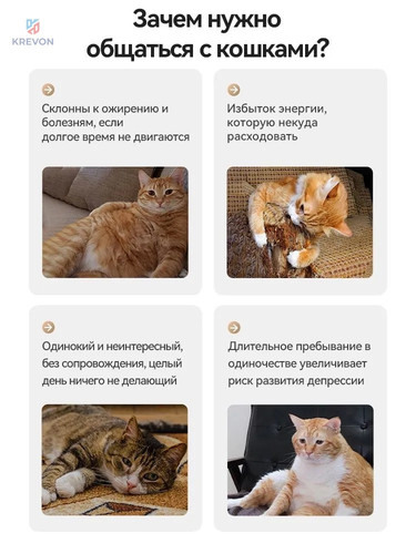 9f31e37a61f0.jpg