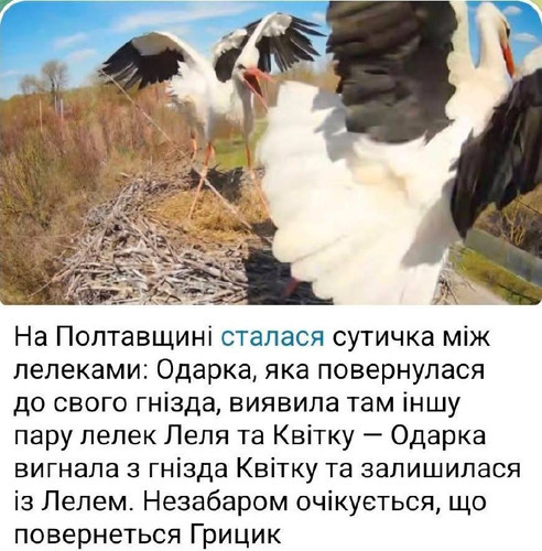 XfgsM3tEp0J68SuGfrSi0HzI7Stlx4ScZ1pCxe7 zL6 LYAqcR7IRx mh IIkmIFB5fzI8RwETmqLQr8xtVh118WtUYxYiSPPwHK.jpg