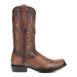 1J1NPH MIEL piton back over cafe bota 2 01