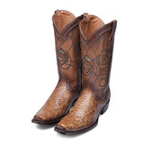 1J1NPH MIEL piton back over cafe bota 2 par