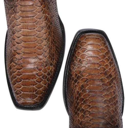 1J1NPH MIEL piton back over cafe bota 2 puntas.jpg