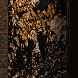 aa00d1c80dbd.png