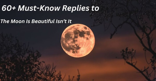 60 Must Know Replies to E2 80 98The Moon Is Beautiful Isnt It 1 1024x536.jpg