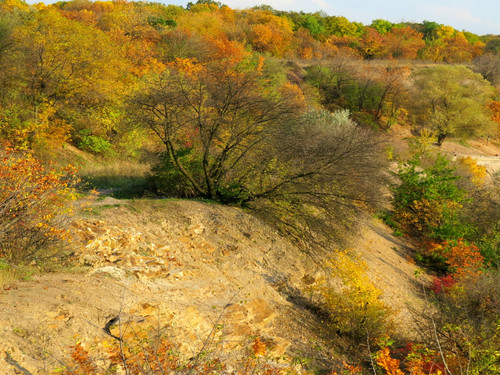 rl 45089517704 o.jpg