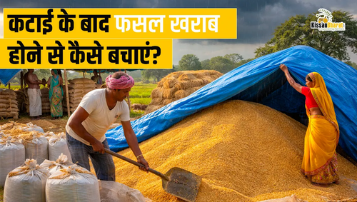 1775466730 kissan bhart 6 april.png