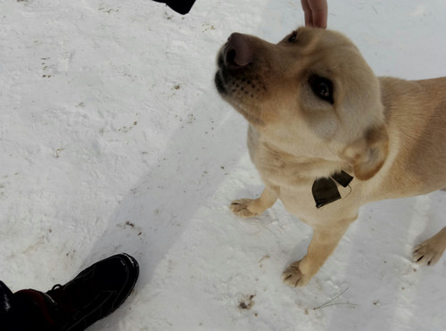 rl 45089501104 o.jpg