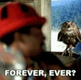 IMG 2796.gif