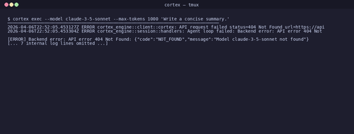 gen 0009 cli 20260406 224934.png