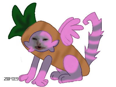 6.png