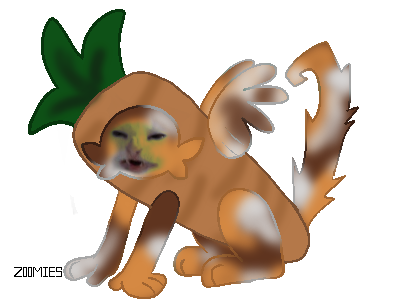 5.png