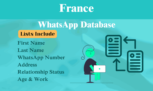 France WhatsApp Database.png