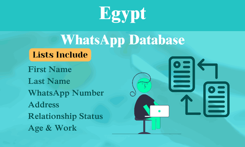Egypt WhatsApp Database.png