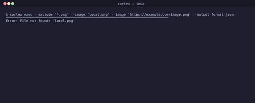 gen 0028 cli 20260407 025352.png