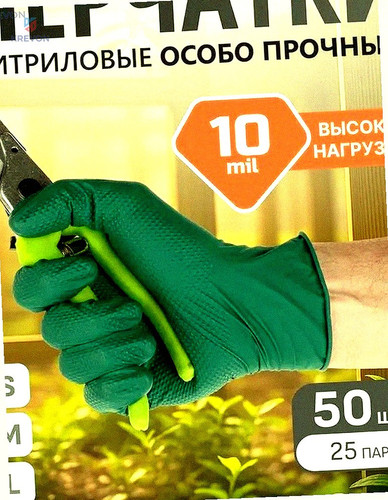 99f01a321e08.jpg
