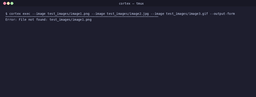 gen 0000 cli 20260407 025352.png