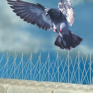 Pigeon Safety Nets In Chennai.jpg