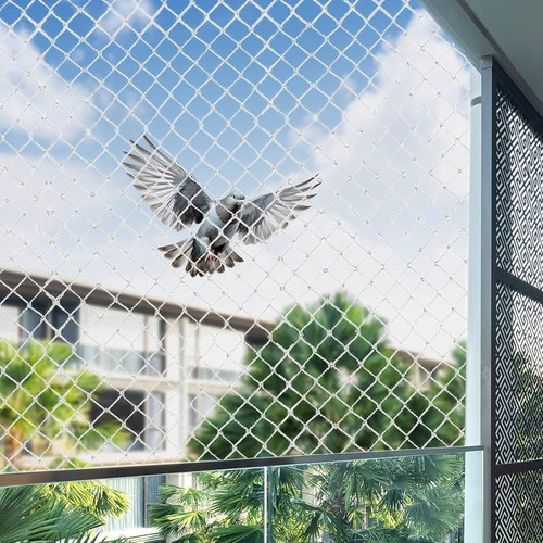 Pigeon Safety Nets In Chennai.jpg