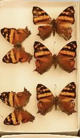 352 image crop 600 0 800 500.jpg