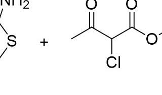 785 image crop 240 150 500 400.jpg