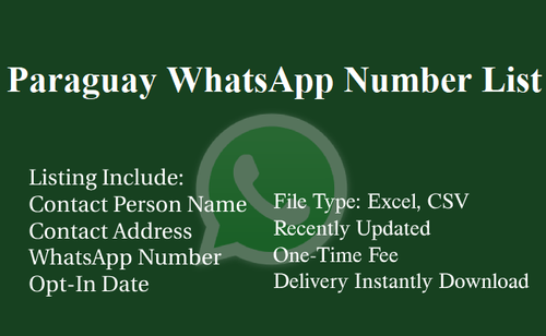 Paraguay WhatsApp Number List.png
