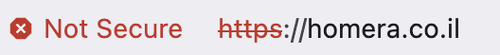 IMG 7038.png