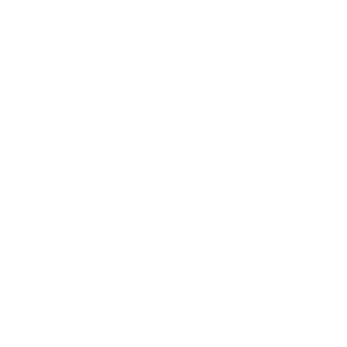 Exness Logo White Clear.png