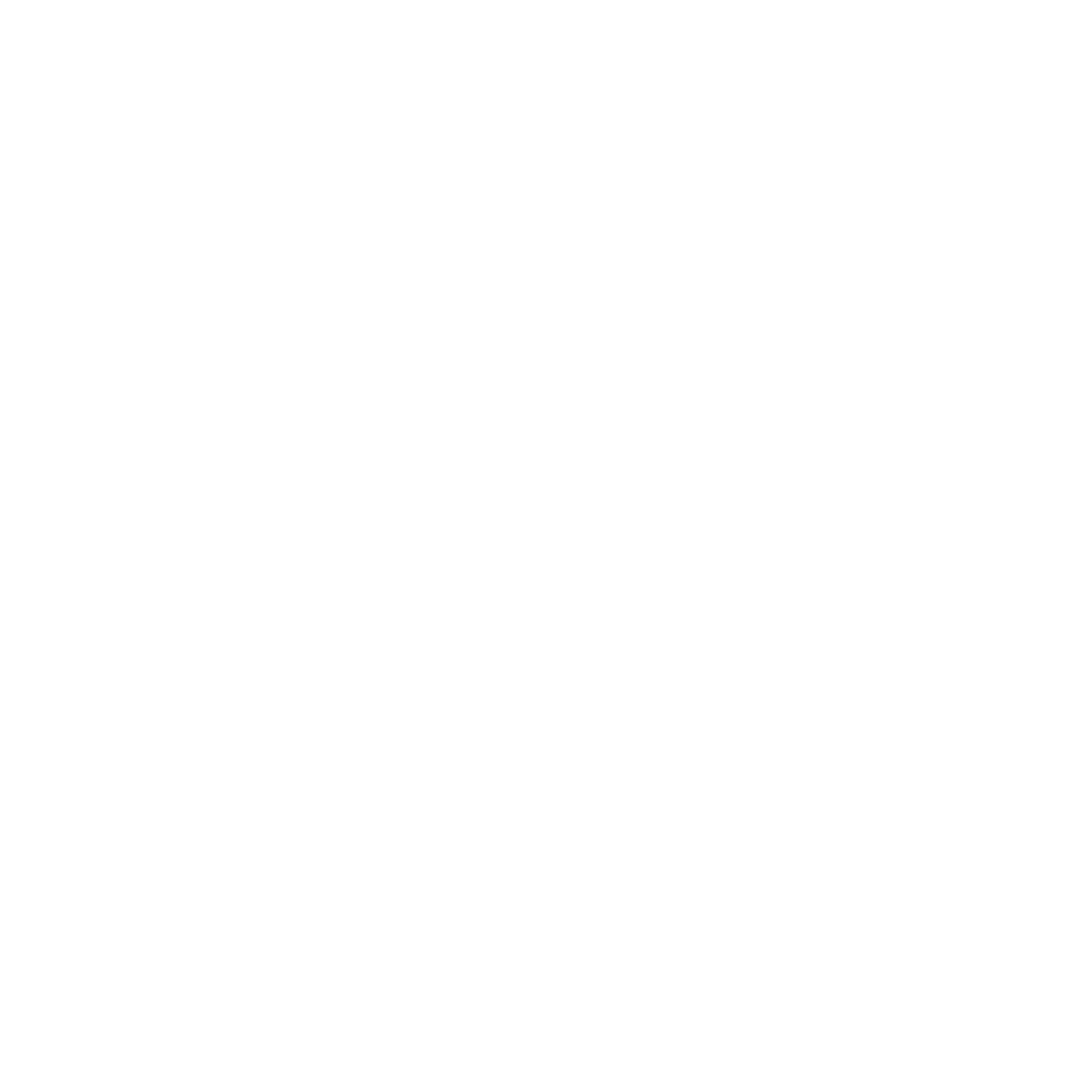 exness logo