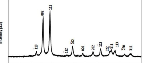 698 image crop 20 520 450 850.jpg